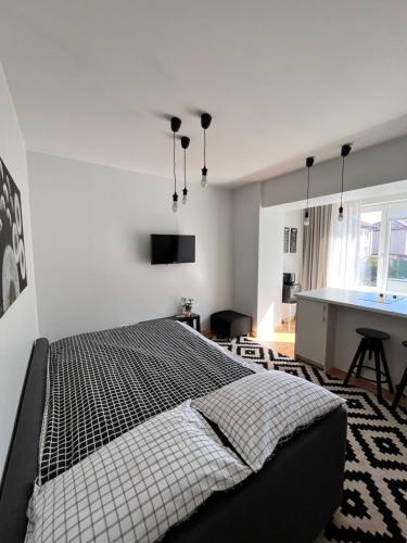 een slaapkamer met een bed en een bureau. bij Stilingi šaulio skulptūros apartamentai in Druskininkai