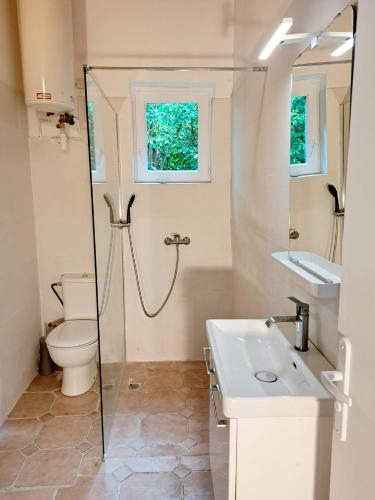 une salle de bain avec une douche, des toilettes et un lavabo dans l'établissement TourTour in the Loire Valley poolside Chalet, à Saint-Avertin