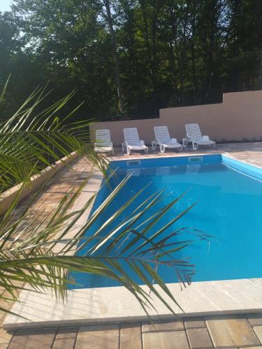 a blue swimming pool with two lounge chairs and a palm tree at Villa Hani in Sarajevo