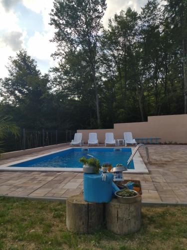 a swimming pool with two potted plants next to it at Villa Hani in Sarajevo