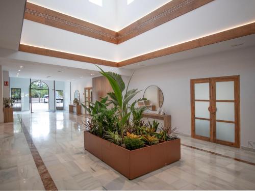 un vestíbulo con una gran plantadora con plantas. en Hotel Montepiedra 4''''sup, en Playas de Orihuela