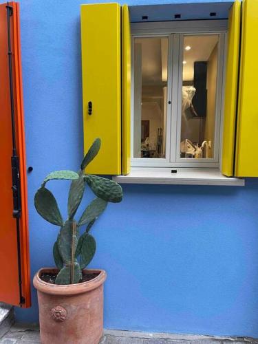 a plant in a pot in front of a blue wall at David Design Apartment centro storico in Caorle