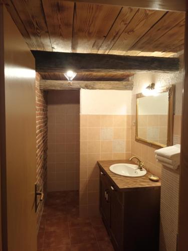 a bathroom with a sink and a mirror at Apartma Brina 3 in Sežana