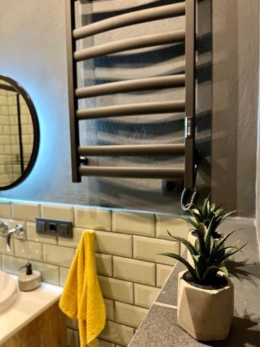 a bathroom with a sink and a potted plant on a counter at Art Apartment Glebova in Lviv