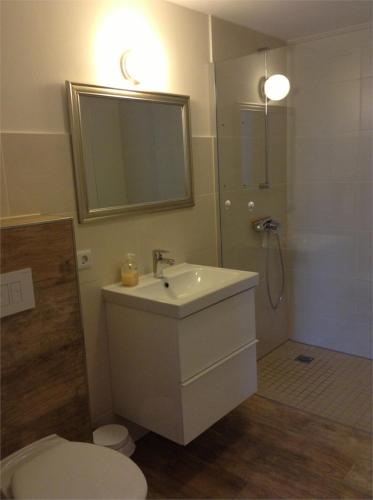 Un baño con lavabo, inodoro y espejo. en Schöne Scheune Lünow, en Roskow