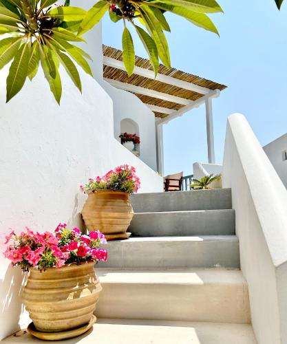 two potted plants on the stairs of a house at Anita Rooms & Suites Milos in Adamas