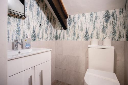 a bathroom with a toilet and a sink at The Lodge - 2 Bedroom Cottage - Princes Gate in Ludchurch