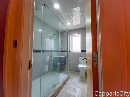 a bathroom with a glass shower and a toilet at Bridge Street Guest Rooms in Tranent