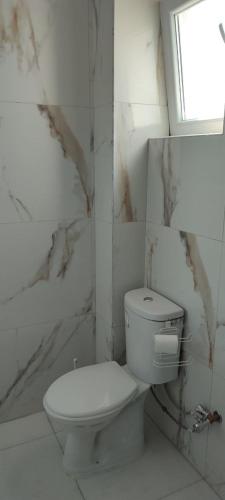a white bathroom with a toilet and a window at Golem Apartment in Golem