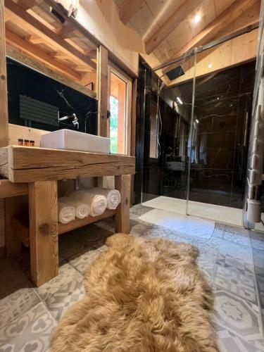 a bathroom with a sink and a shower with a rug at Les Écrins du Val de Mouthe, JURA in Petite Chaux