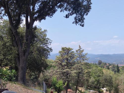 Φυσικό τοπίο κοντά σε αυτή η παραθεριστική κατοικία