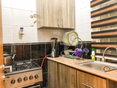 un bancone della cucina con lavandino e piano cottura di Cozy 1 bedroom apartment in Abuja ad Abuja