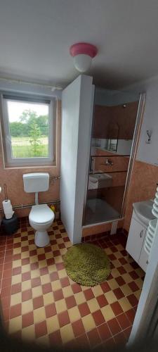 baño con aseo y lavabo y ventana en Agroturystyka Pod Gruszą, en Wielkie Leżno