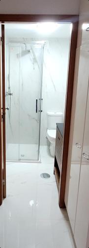 ein Bad mit einer Dusche und einem WC in der Unterkunft Studio Matosinhos Sul in Matosinhos