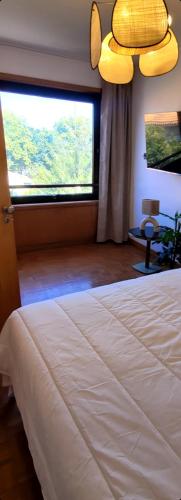 ein Schlafzimmer mit einem Bett und einem großen Fenster in der Unterkunft Studio Matosinhos Sul in Matosinhos