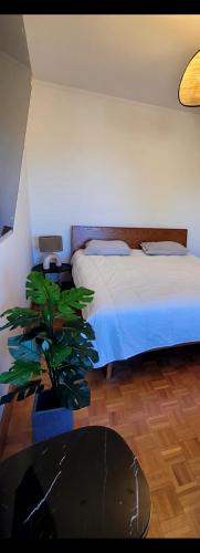 Studio Matosinhos Sul في ماتوسينهوس: غرفة نوم مع سرير وزرع الفخار
