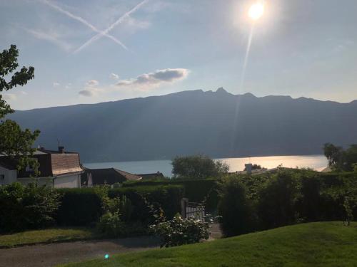 Studio la dent du chat