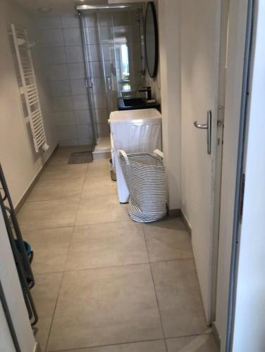 une petite salle de bain avec un lavabo et un miroir dans l'établissement Studio la dent du chat, à Tresserves