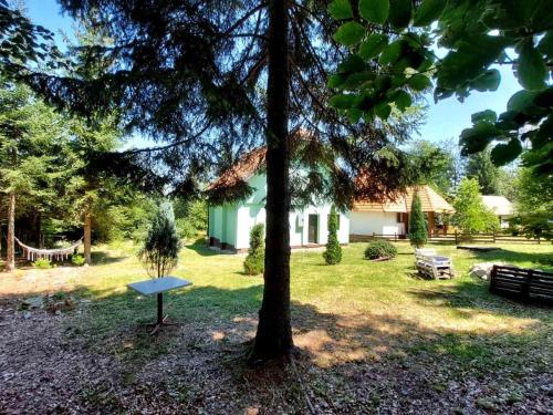 a yard with a tree and a house at Šumska bajka in Bajina Bašta