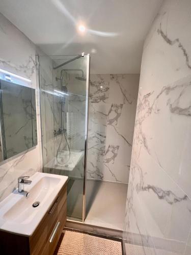 une salle de bain avec douche et lavabo dans l'établissement Appartement proche des prébendes, à Tours
