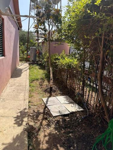a garden with a fence and a small tree at Relax Pine Villa Residence in Golem