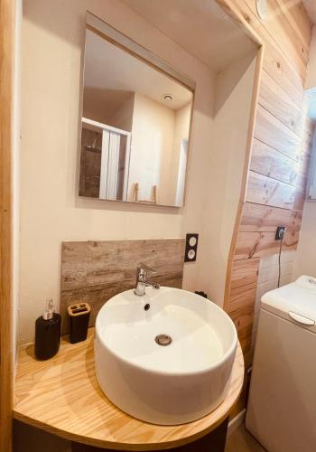 une salle de bain avec un lavabo blanc et un miroir dans l'établissement Le Payan, à Gap