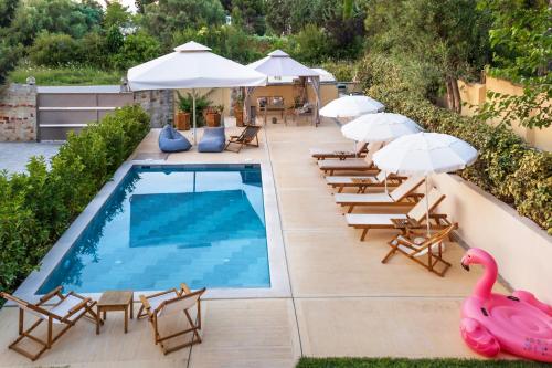 ペフコホリにあるLeisureNest Villa Pefkochoriのピンクのフラミンゴが備わるスイミングプール(椅子、パラソル付)
