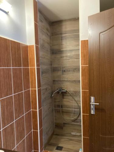 La salle de bains est pourvue d'une douche et d'une porte en bois. dans l'établissement Contessa Central Studio II, à Cluj-Napoca