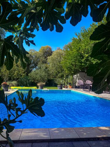 Piscina en o cerca de Villa D Blagaj