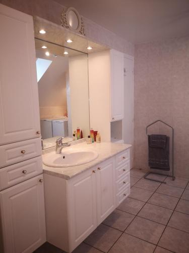 une salle de bain avec un lavabo et un grand miroir dans l'établissement Le Mimat - Jardin - Wifi - Parking, à Mende