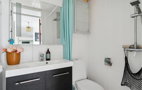een badkamer met een wastafel, een toilet en een spiegel bij 2 Bedroom Amazing Home In Allingbro in Allingåbro