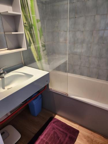 une salle de bain avec un lavabo et une douche dans l'établissement Cocoon La Londe M2, à La Londe-les-Maures