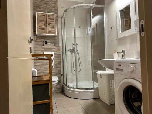 ein Bad mit einer Dusche, einem WC und einem Waschbecken in der Unterkunft The Luxe Loft apartment in Novi Sad