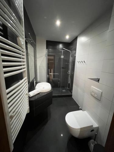 een badkamer met een wastafel en een douche bij Apartament Kameralny in Zakopane
