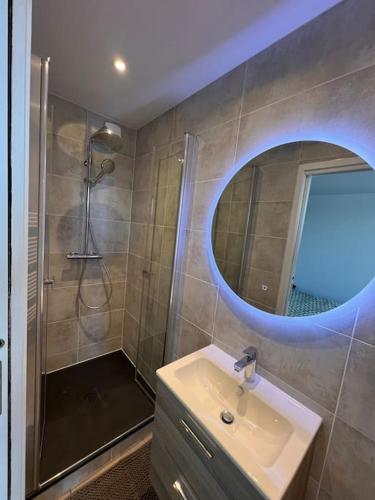 une salle de bain avec un lavabo et une douche avec un miroir dans l'établissement Appartement T2 proche des prébendes, à Tours