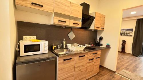 a small kitchen with a sink and a microwave at Alpok – Spirit Apartman Park (Kőszegszerdahely) in Kőszeg