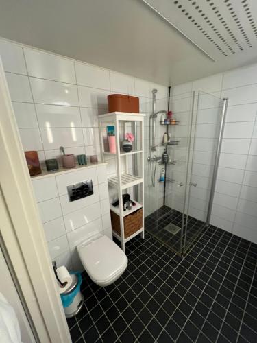 een badkamer met een douche en een toilet. bij Moderne og romslig leilighet, 2 soverom, sentralt. in Trondheim