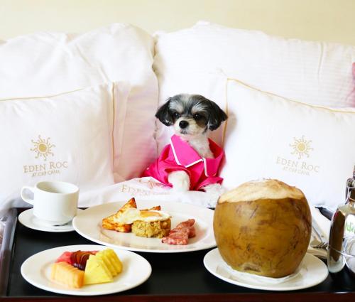 un perro sentado en una cama con dos platos de comida en Eden Roc Cap Cana, en Punta Cana