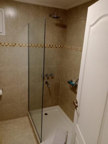 a bathroom with a shower with a glass door at Hostería Las Semillas in Villa La Angostura