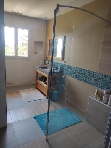 a bathroom with a shower and a sink at Villa Zen in Montbazin