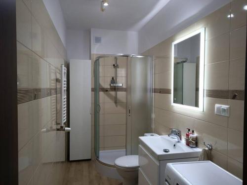 a bathroom with a shower and a toilet and a sink at Apartament Mierzeja Wiślana in Sztutowo