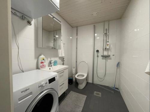 een badkamer met een wasmachine en een toilet bij Kaksio keskustassa ja rannan läheisyydessä in Hämeenlinna