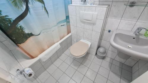 聖恩吉瑪的住宿－King Apartment Luftkurort Bayerischen Wald，一间带卫生间和水槽的浴室