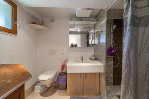 ein Bad mit einem Waschbecken, einem WC und einer Dusche in der Unterkunft Appartement in Doussard