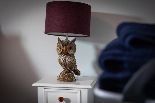 an owl lamp sitting on a night stand at Horbury High St Wakefield in Horbury