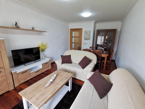 uma sala de estar com dois sofás e uma televisão em Apartamento Carrera em Caldas de Reis