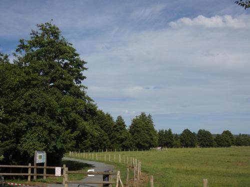 a path through a field with a fence and trees at Hôtel de France in Pont-lʼÉvêque