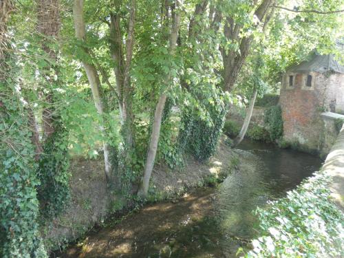 a stream with trees and a building next to a river at Hôtel de France in Pont-lʼÉvêque