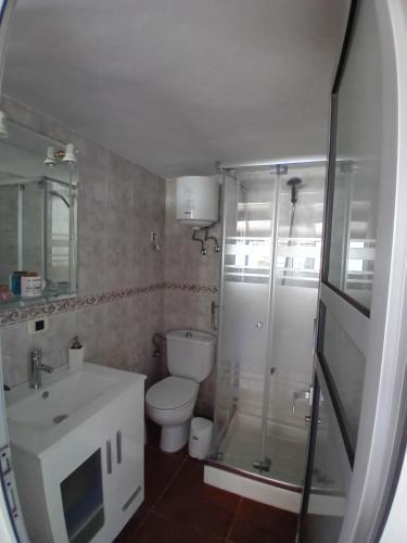 a bathroom with a shower and a toilet and a sink at Princess Antonella 1 in Tejeda