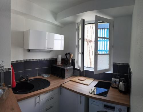 une petite cuisine avec un évier et un micro-ondes dans l'établissement Le Saint patrice, à Rouen